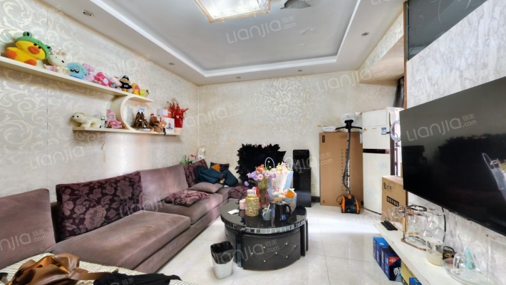 瑞升望江橡树林二期二手房实景图