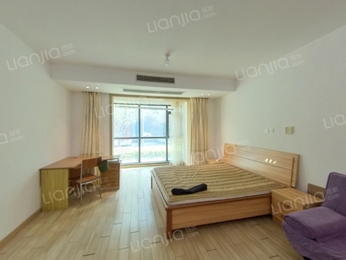 整租·帝邦帝海 1室1厅 南