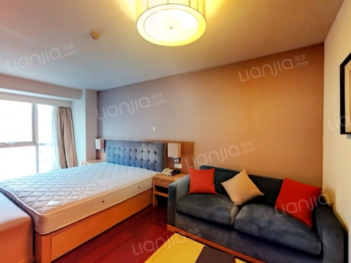 整租·远洋新干线 1室0厅 北