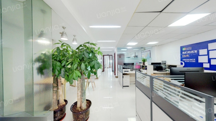 绿城画卷二手房实景图