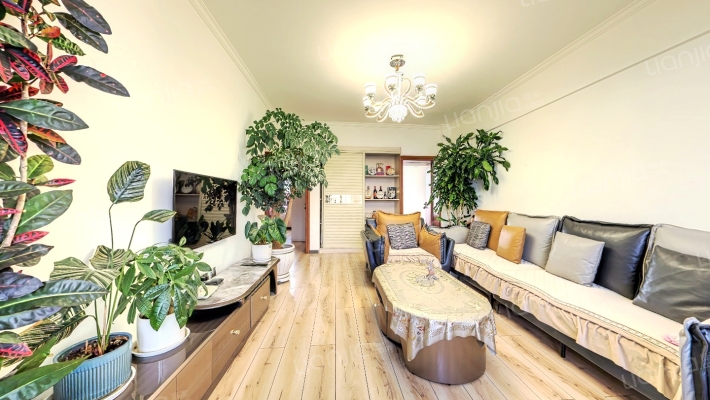 云南省杂技团宿舍二手房实景图