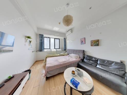 整租·金科星辰 1室1厅 南