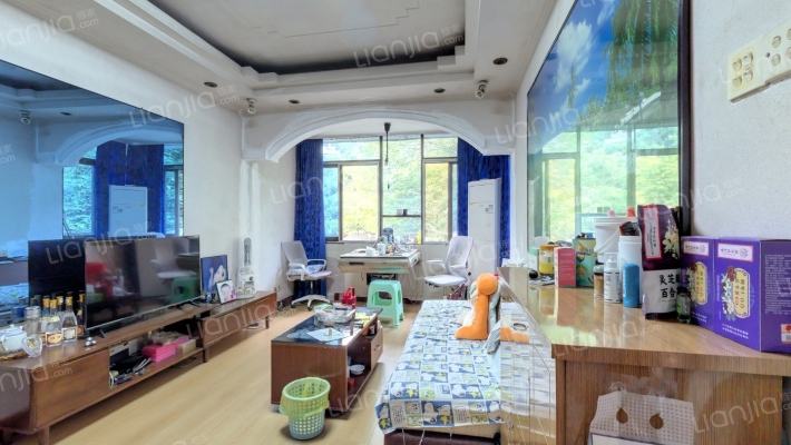 枝元村二手房实景图