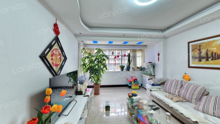 羊仙坡十四冶家属区二手房实景图