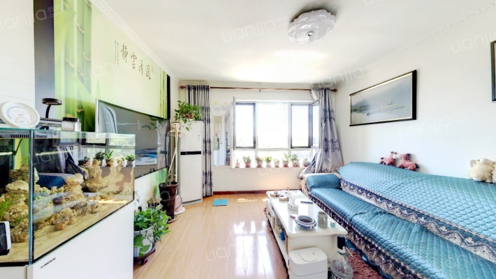 中金启城南区二手房实景图