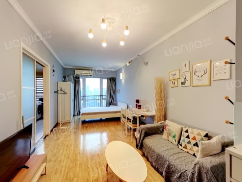 整租·东原黄山大道东 1室1厅 东