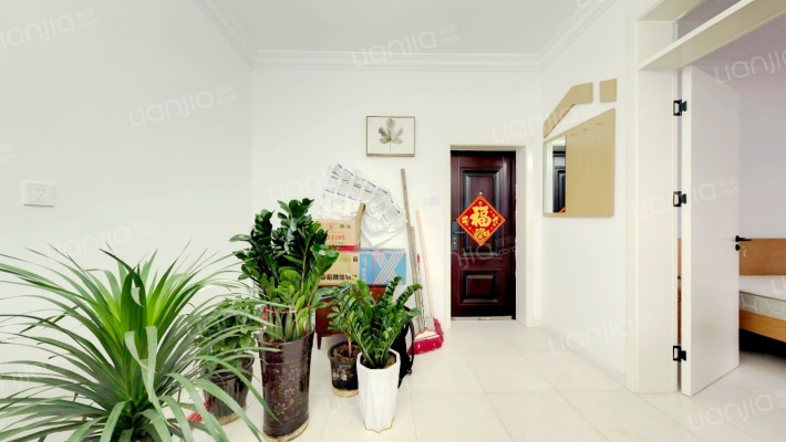 市交通局宿舍二手房实景图