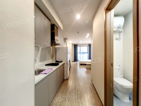 整租·龙盛城市之光 1室1厅 西南