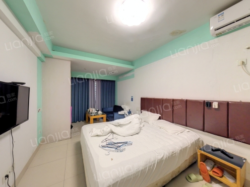 整租·国泰观邸 1室0厅 东南