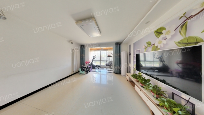 大城小院二手房实景图