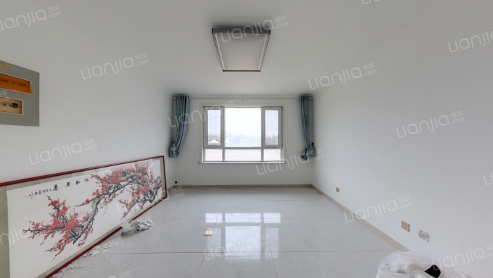 鲁昱绿城二手房实景图