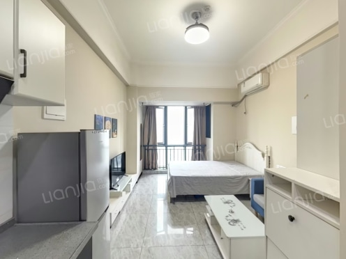 整租·蓝光中央广场 1室0厅 东