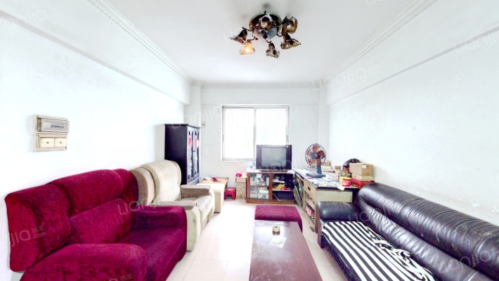 文庆路19号二手房实景图