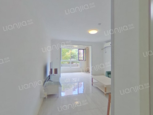 整租·龙湖悠山郡二期 1室1厅 南