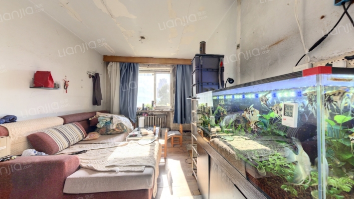 北树小区二手房实景图