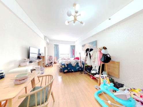 整租·金光丽园 1室1厅 南