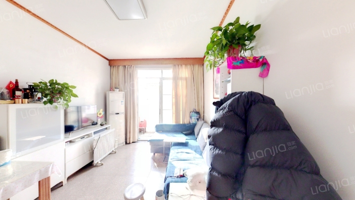 团安新村二手房实景图