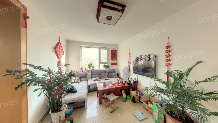 外贸公司家属楼二手房实景图