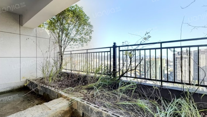 学林雅苑二手房实景图