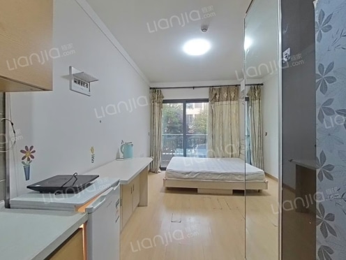 整租·龙湖U城一组团 1室0厅 南