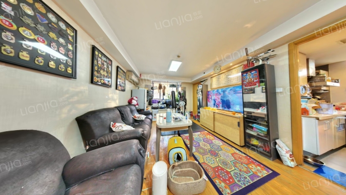 中关村公馆二手房实景图