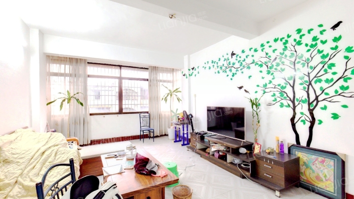 北海市罐头厂二手房实景图