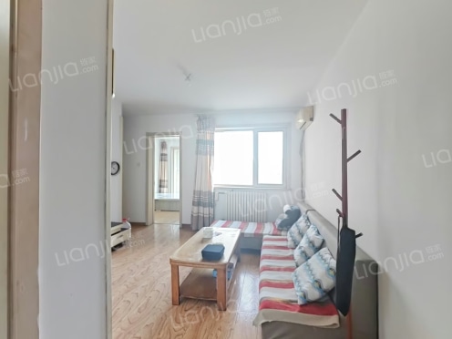 整租·南岭新园B区 1室1厅 南