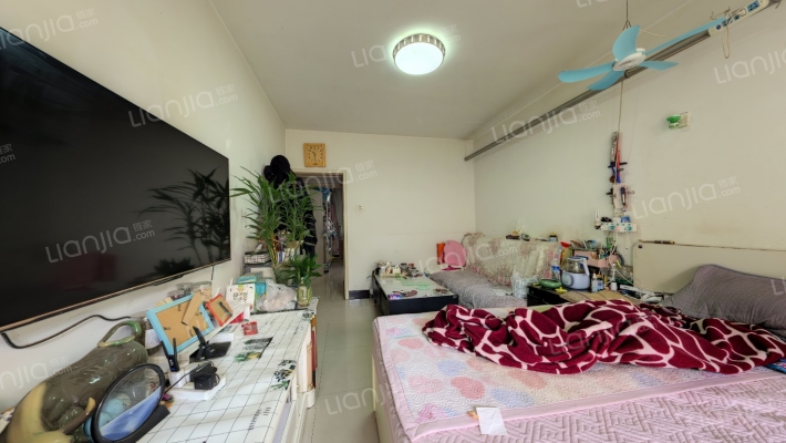 地质五队家属院二手房实景图