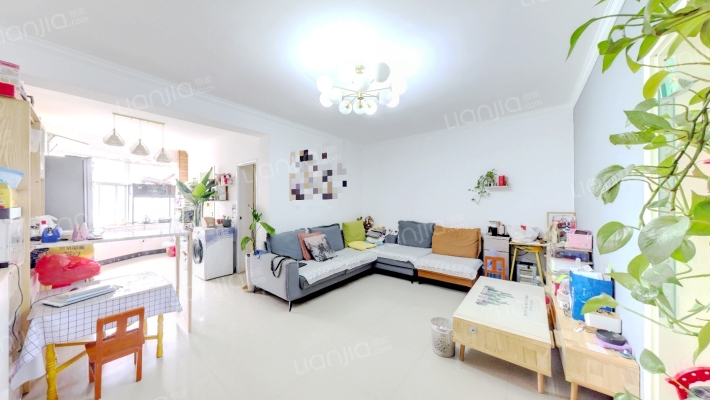 金城小区二手房实景图