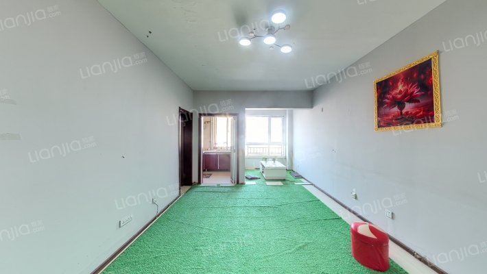 丽都家园二手房实景图