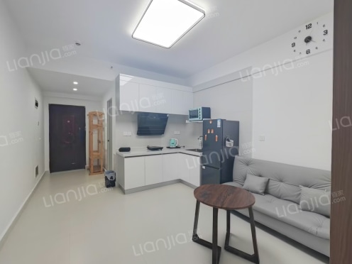 整租·湘水和天下 1室1厅 南