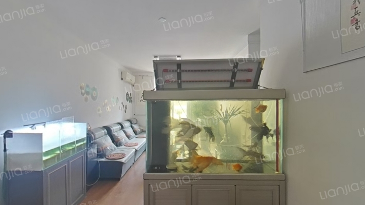 梦湖花镜孔雀城二手房实景图