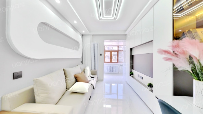 桦树小区南区二手房实景图