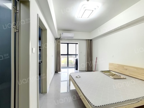 整租·民生·天都星城南区 1室0厅 北