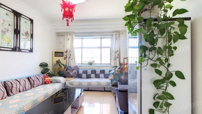 温馨小区二手房实景图