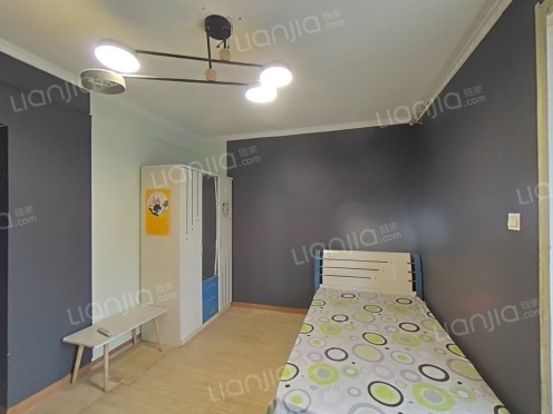 整租·城建鼎都 1室1厅 东