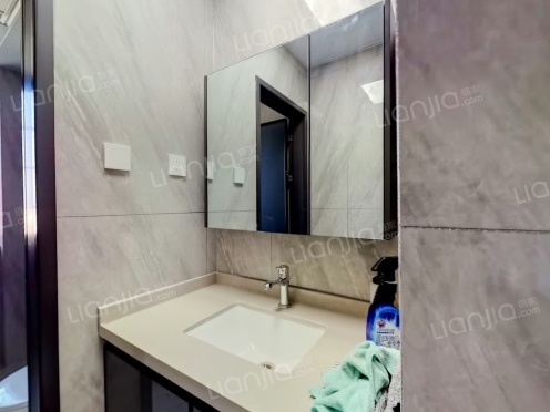 整租·中央公园城 2室1厅 东/东南/南/西南