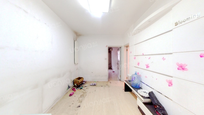 智杰小院二手房实景图