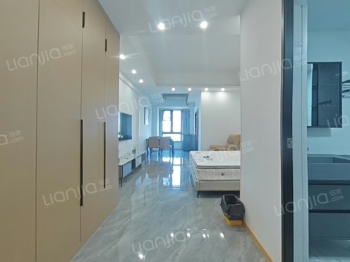 整租·融汇半岛天澜 1室1厅 东北