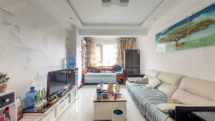 钻石精装修两居室，采光视野都很好-客厅