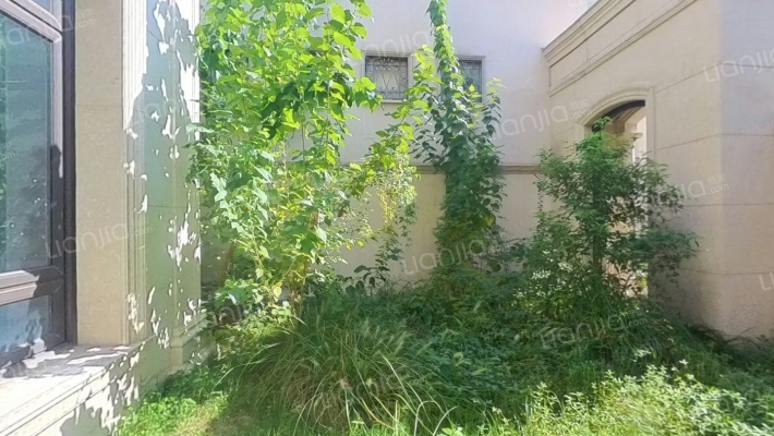 滨江公园壹号二手房实景图