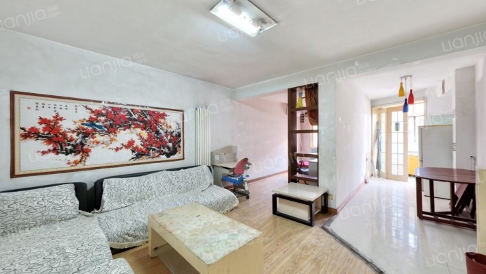 丛东街道中煤社区新春厂街16号院二手房实景图