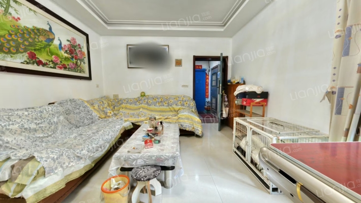 化学工程第六公司家属院二手房实景图