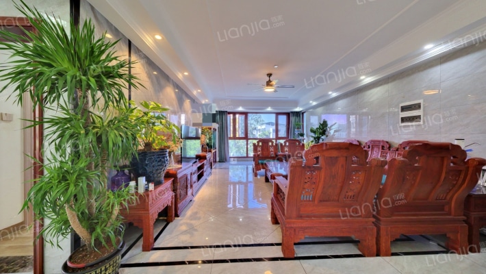 菩提树二手房实景图