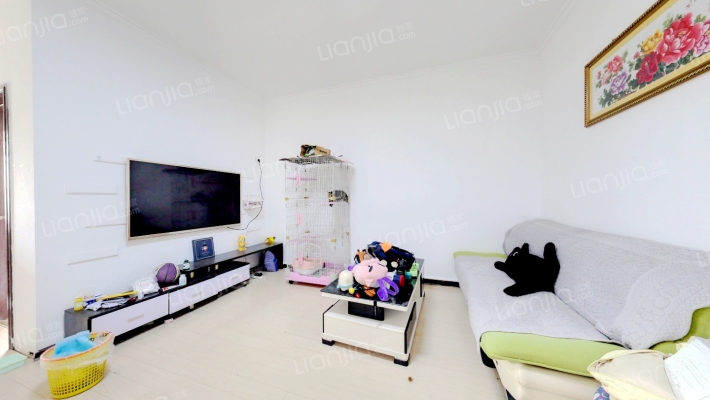 森园南小区二手房实景图