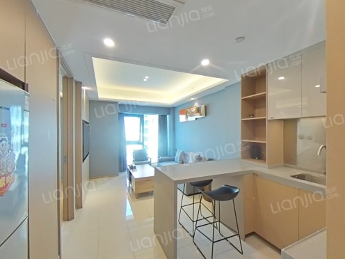 整租·中粮天府宸悦 1室1厅 西