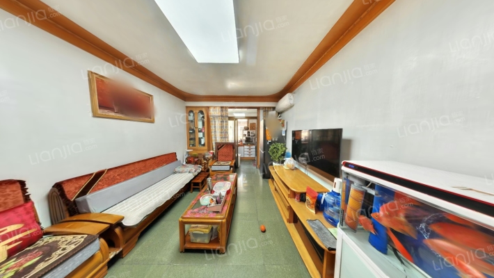 沣镐西路424号（油漆厂4号院）二手房实景图