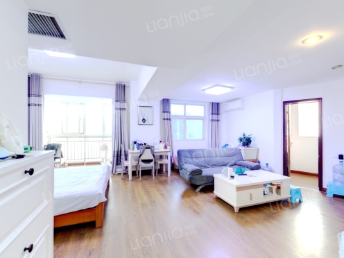 整租·白金公寓 1室1厅 南