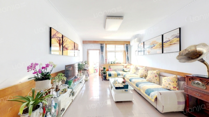 王辛小区二手房实景图