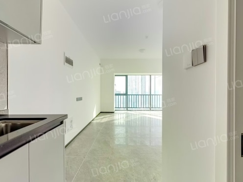 整租·万科金融中心 1室1厅 南